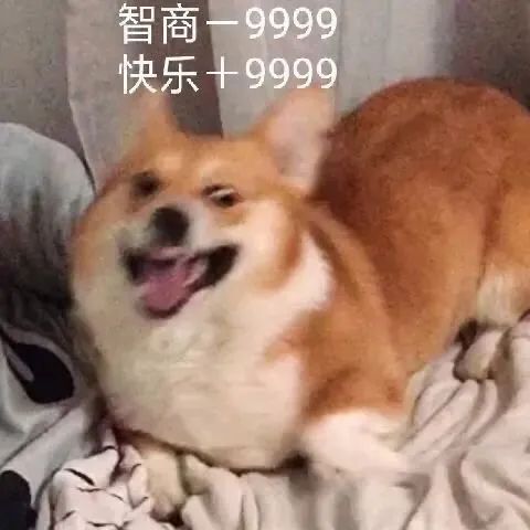 如何正確的找到男朋友？