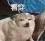如何正確的找到男朋友？