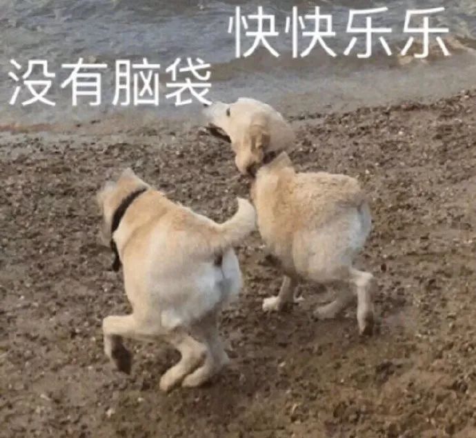 如何正確的找到男朋友？