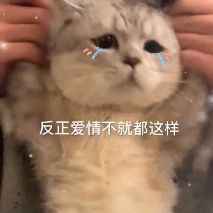 如何正確的找到男朋友？