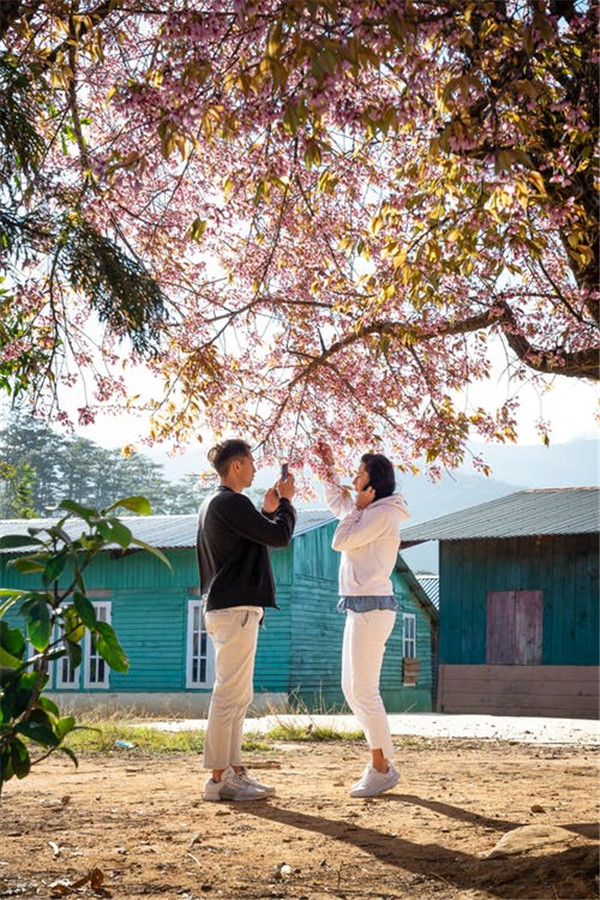 挽留老婆不離婚的話語(yǔ)-老婆心冷了怎么挽回