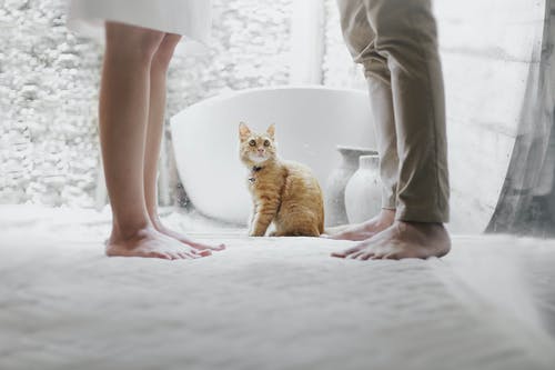 一個男人吼你說明什么?男人沖你發(fā)火代表什么