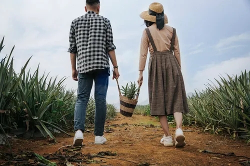 老公愛小三為什么不離婚?老公真心愛上小三怎么辦