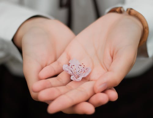 不認(rèn)識(shí)的異性怎么聊天?和異性聊天怎么找話題