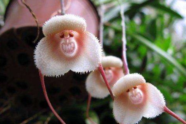 幽默的好處