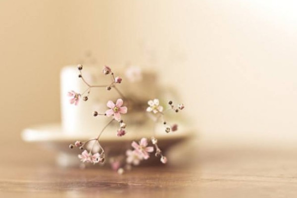 什么是微博控綜合癥