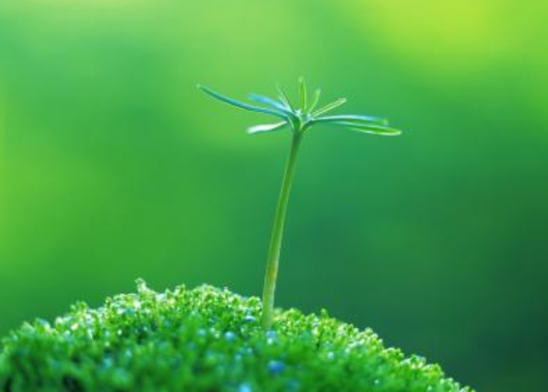 平靜的心態(tài)去面對生活