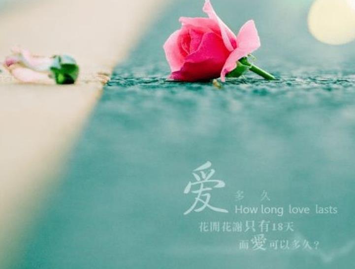 關(guān)系相處的最佳方式
