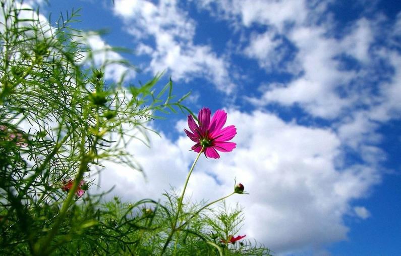挽回時最致命的三點(diǎn)你觸犯了嗎