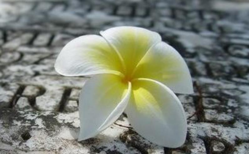 ?當(dāng)代婚姻制度正在瓦解