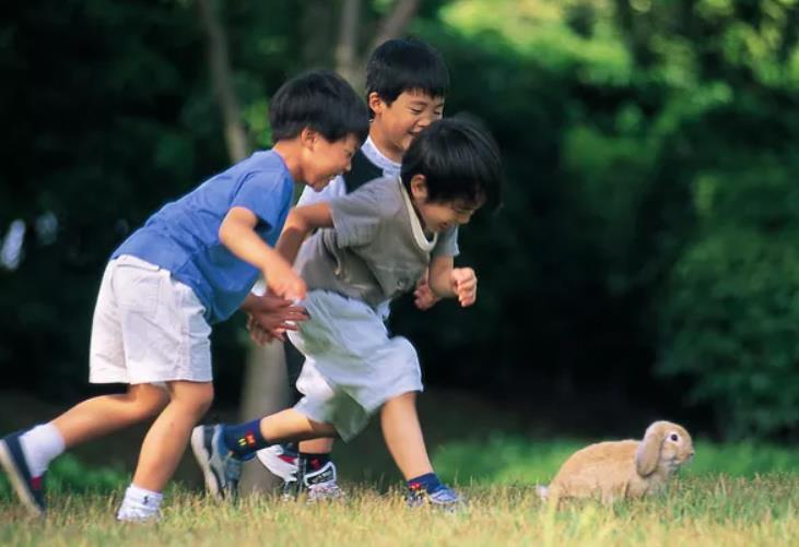 兒童發(fā)育遲緩會有哪些影響