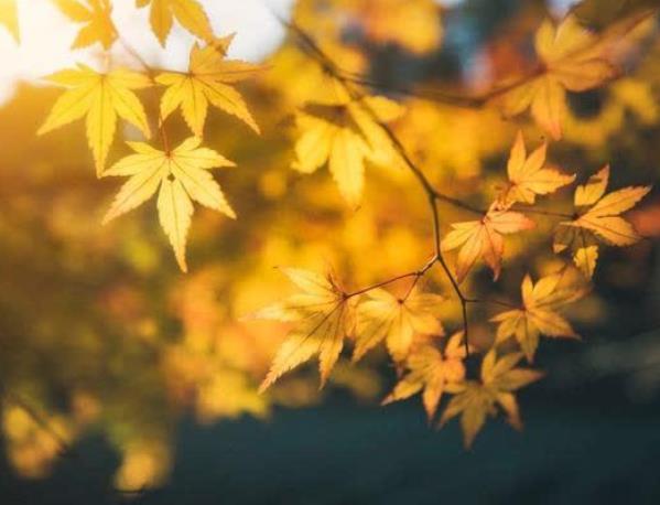 如何預(yù)防秋季抑郁癥