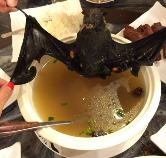 新冠疫情應(yīng)該引起我們飲食習(xí)慣的反思
