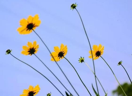 抑郁癥其實也有一定的好處