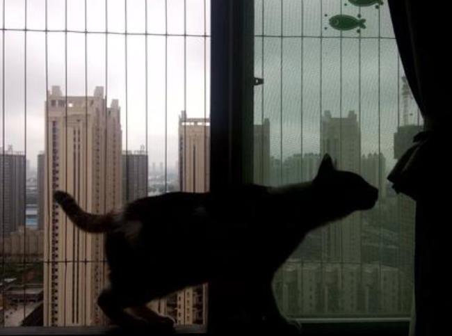 為什么春天更容易抑郁？