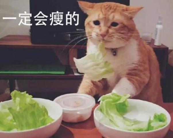 為什么減肥總是失敗的原因