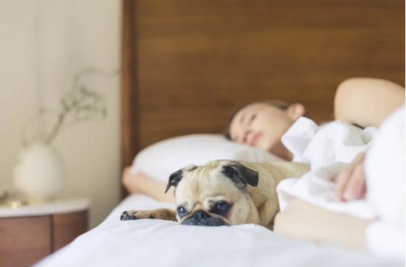 睡眠拖延癥怎么治療