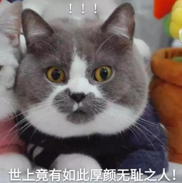 渣男出軌的真實原因