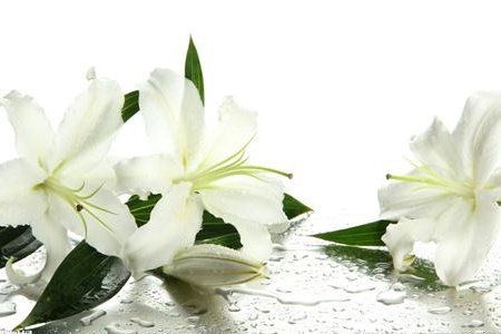 測試你在生活中的吃虧指數(shù)