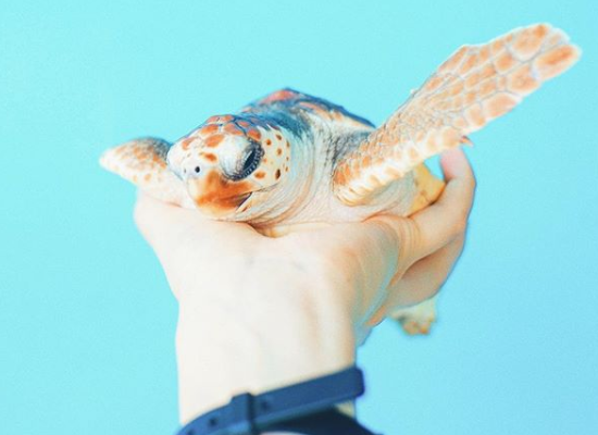 “老好人”的角色適不適合你？