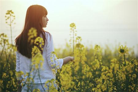 測試你的微信魅力指數(shù)