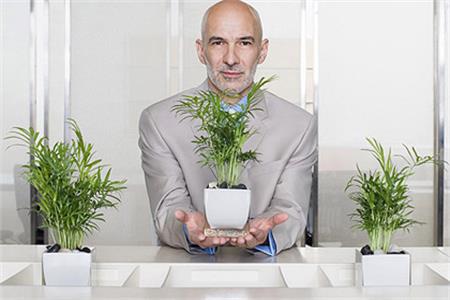 哪種植物象征你的職場(chǎng)生活