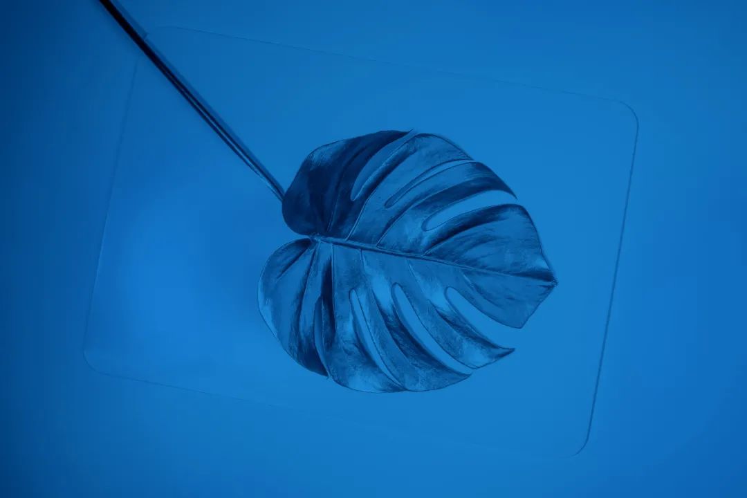 能自己把日子過好，也是種了不起的能力