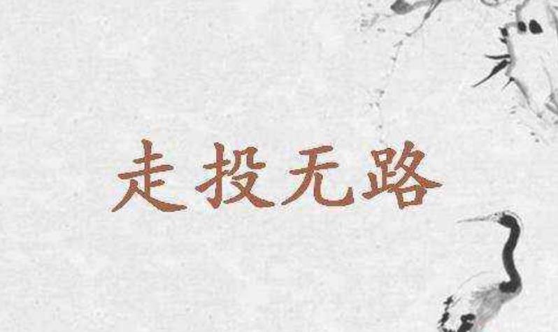 走投無路的時候怎么辦