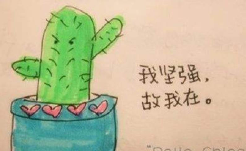 走投無路的時候怎么辦