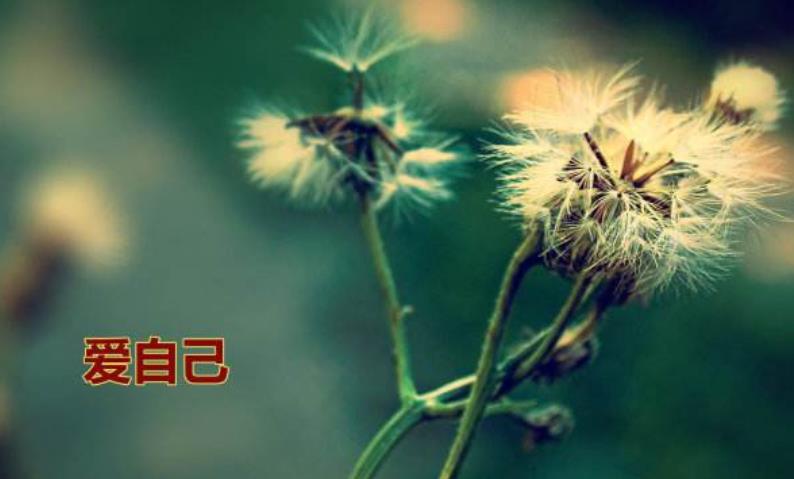 愛(ài)自己并不是自私自利
