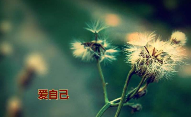 接受現(xiàn)在的自己就是愛自己