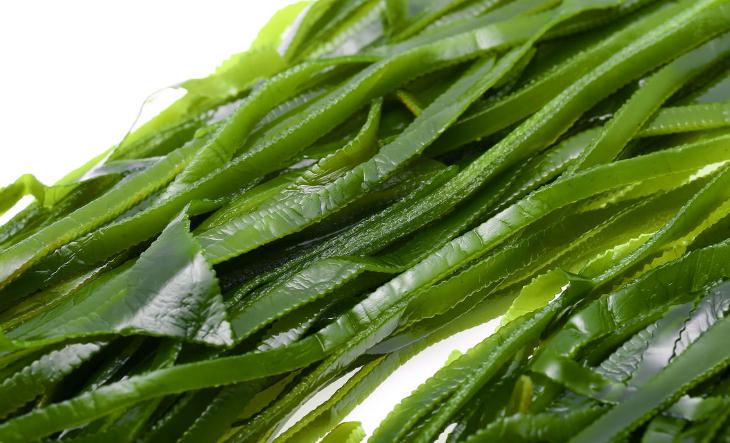孩子最該吃的十種補(bǔ)腦食物