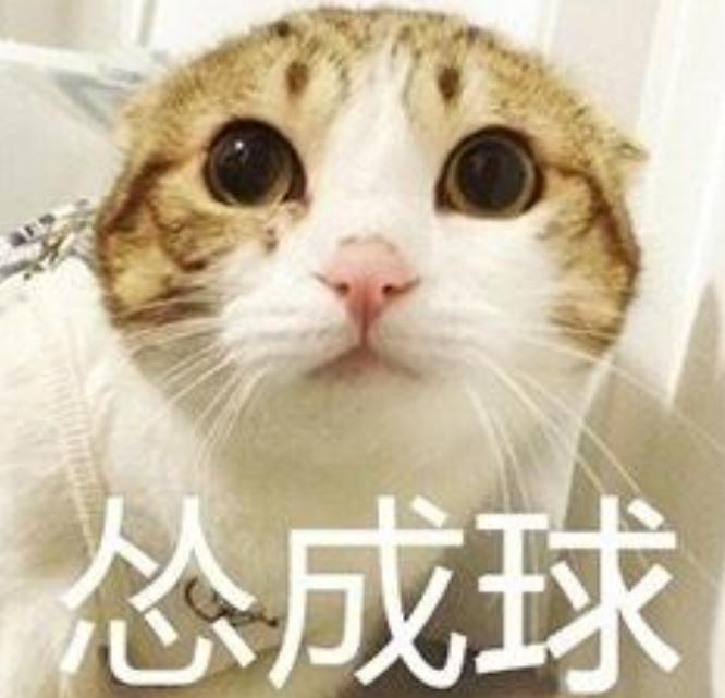 你是一個(gè)慫貨嗎？