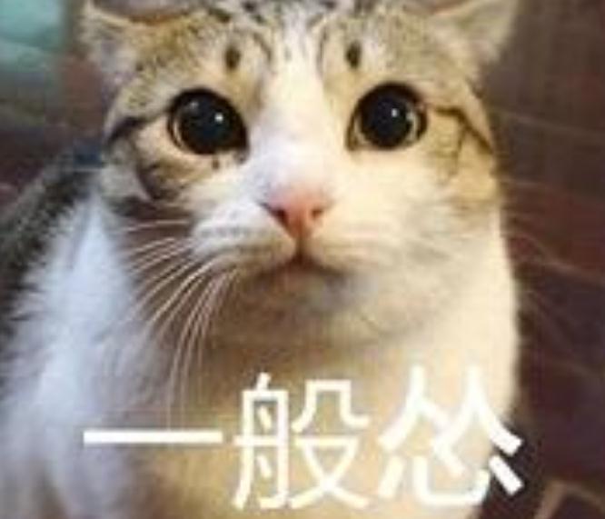 你是一個(gè)慫貨嗎？