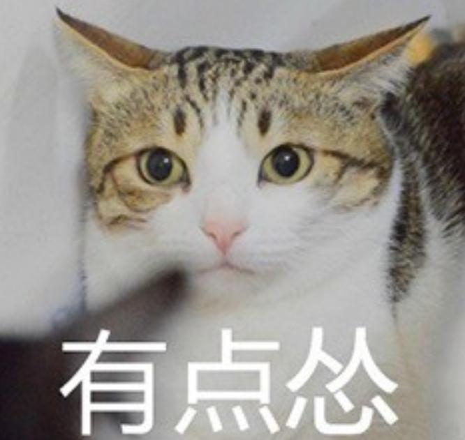 你是一個(gè)慫貨嗎？