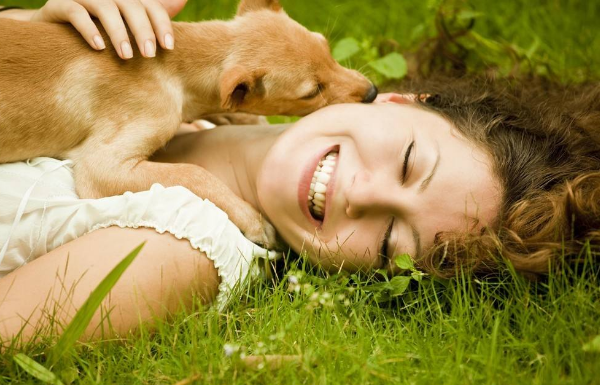 經(jīng)常與寵物交流是因?yàn)槟闾陋?dú)嗎