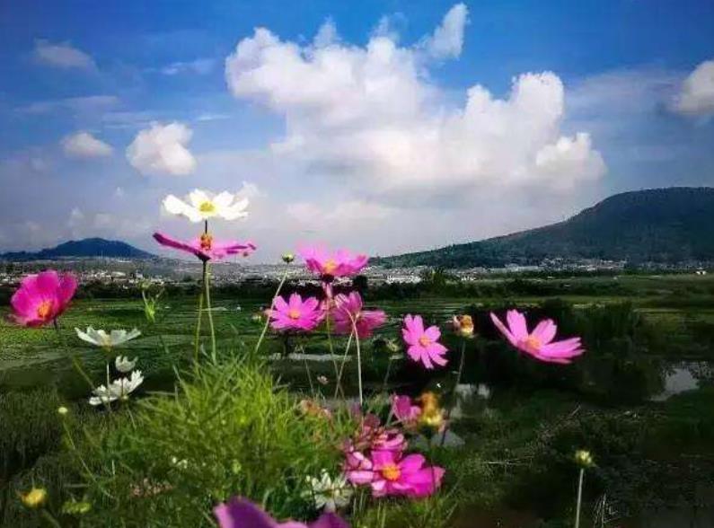 活出你自己是你帶給世間最好的禮物