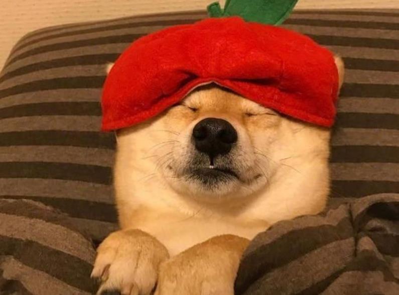 瘋狂刷劇有害大腦健康