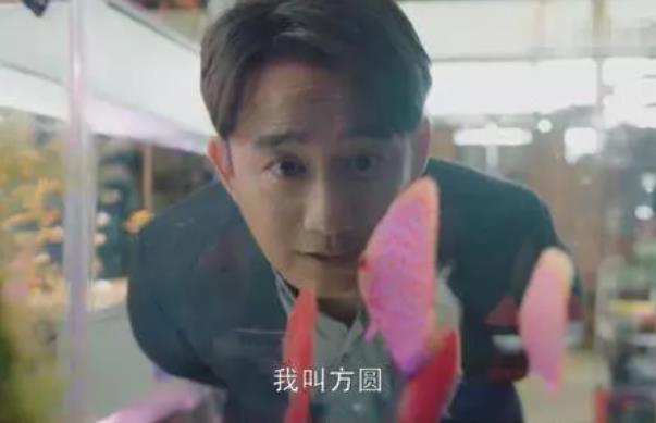 《小歡喜》中為什么只有方圓一個人被裁