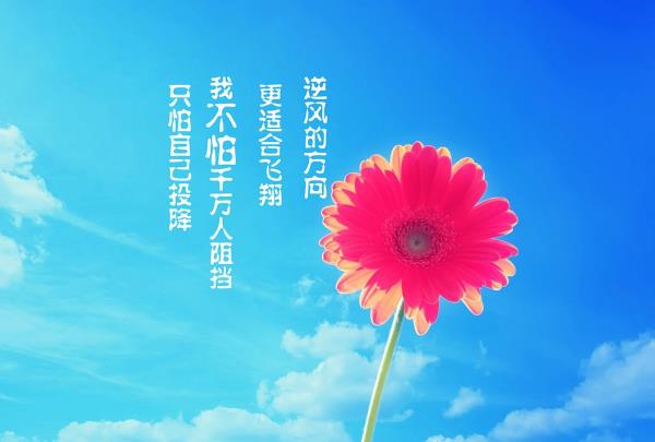 學(xué)會怎樣表達(dá)自己的訴求