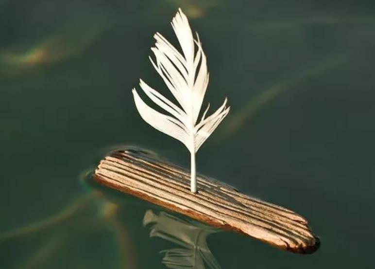 怎樣對抗虛無主義