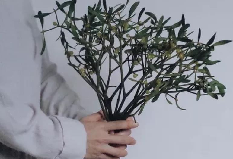 焦慮我該拿什么拯救你