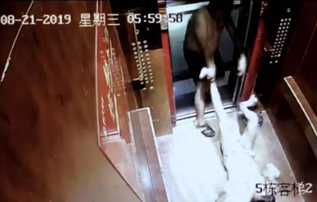 三種家暴的類(lèi)型你知道嗎