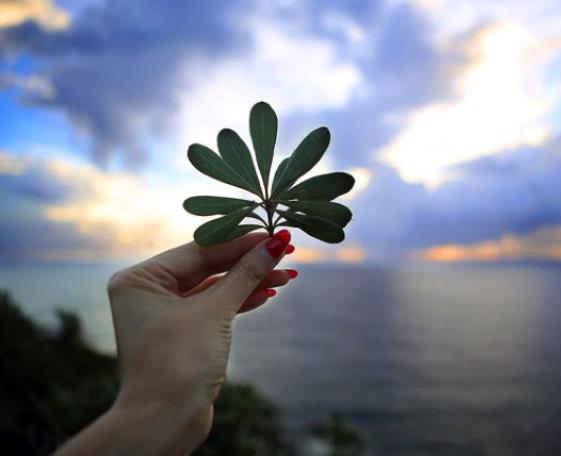 對生活的有幫助的10條心理技巧