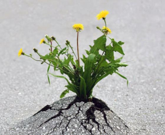 遭遇挫折怎么辦如何面對(duì)？