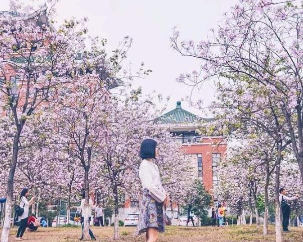 疫情結(jié)束后，最想做這20件事