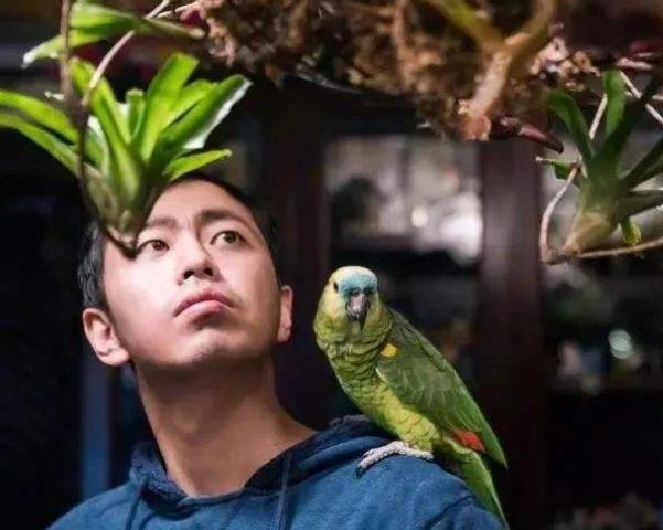 大男人喜歡養(yǎng)花到底是什么心態(tài)？