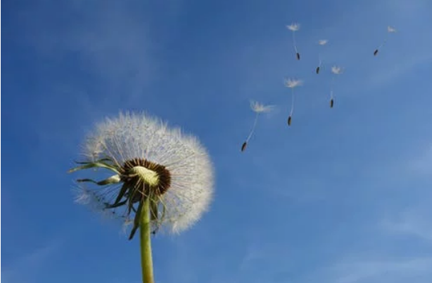 幾個(gè)能夠讓你頓悟的小故事