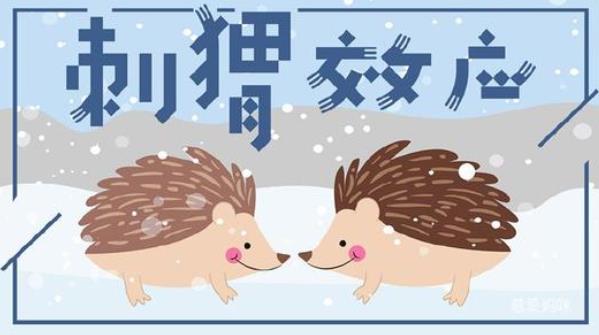 人際中刺猬效應(yīng)是什么意思？