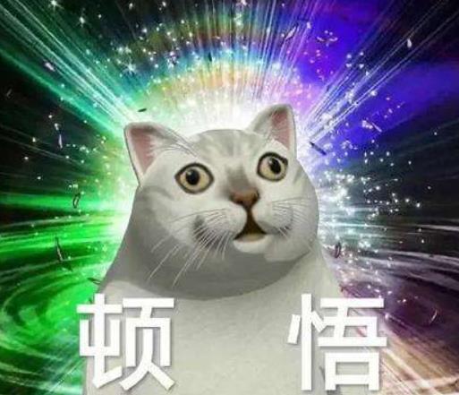 紅茶女生是什么梗？